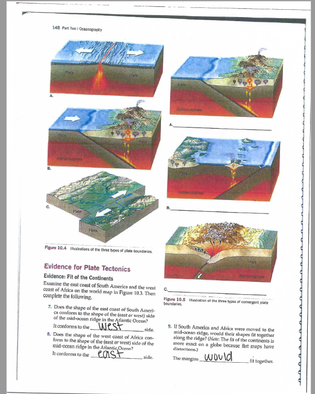 Solved EXERCISE 10 The Dynamic Ocean Floor AN GAEA ; > | Chegg.com