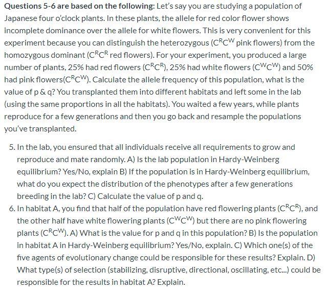 Solved Questions 5-6 are based on the following: Let's say | Chegg.com