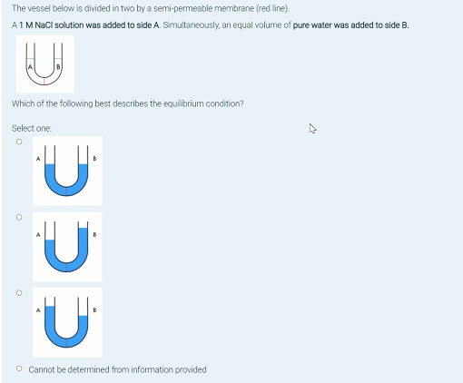 Solved The vessel below is divided in two by a | Chegg.com