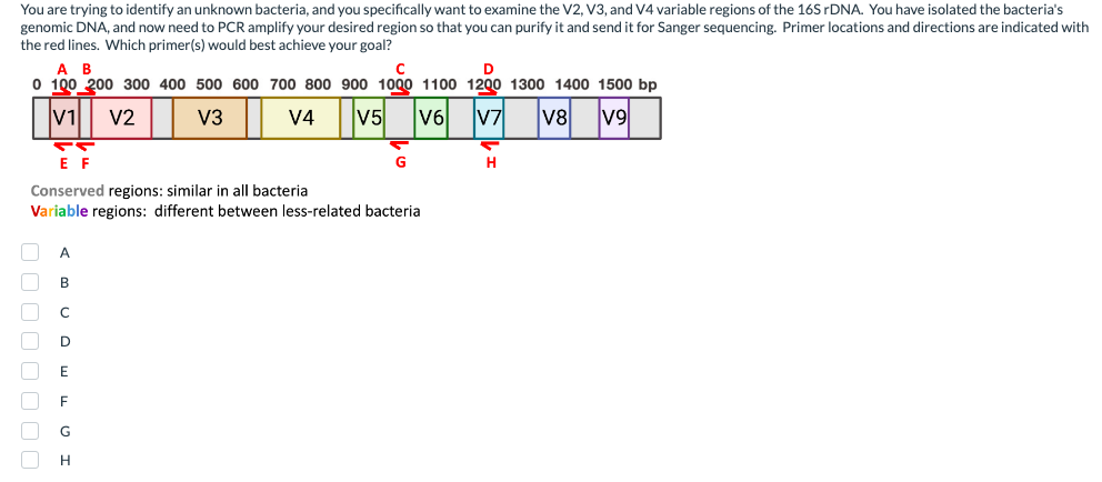 Solved You are trying to identify an unknown bacteria, and | Chegg.com