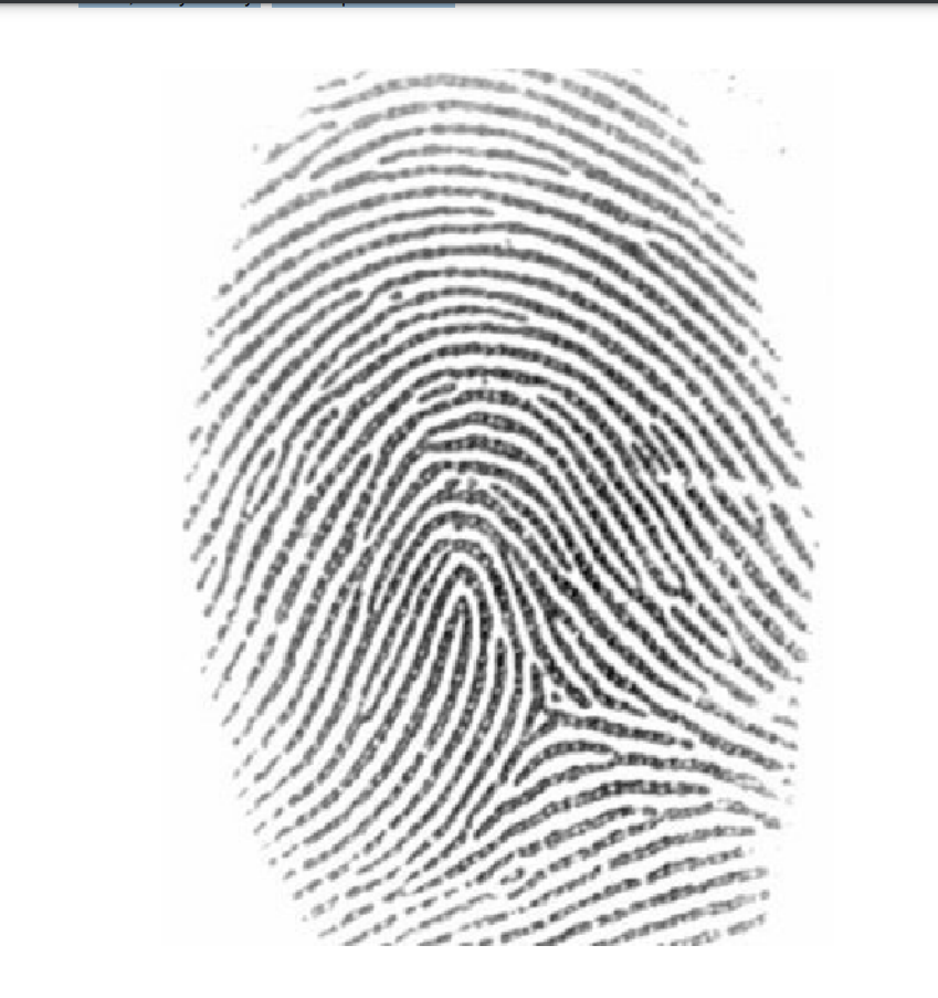 Instruction1. Examine the fingerprint (Figure 1)
