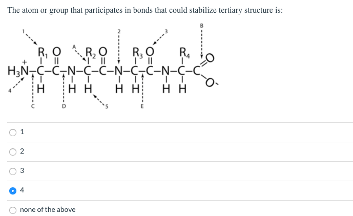 Solved The Atom Or Group That Participates In Bonds That Chegg Com