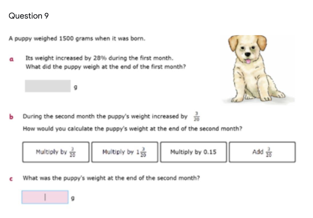 How Much Does A Puppy Weigh At Birth