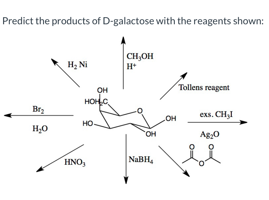 Solved Predict the products of Dgalactose with the reagents