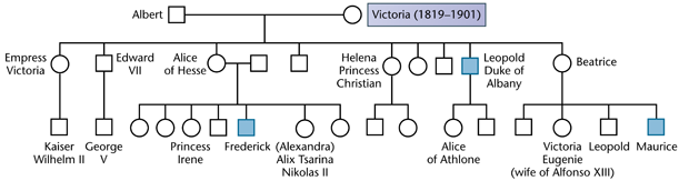 solved-below-is-a-partial-pedigree-of-hemophilia-in-the-british-royal-1-answer