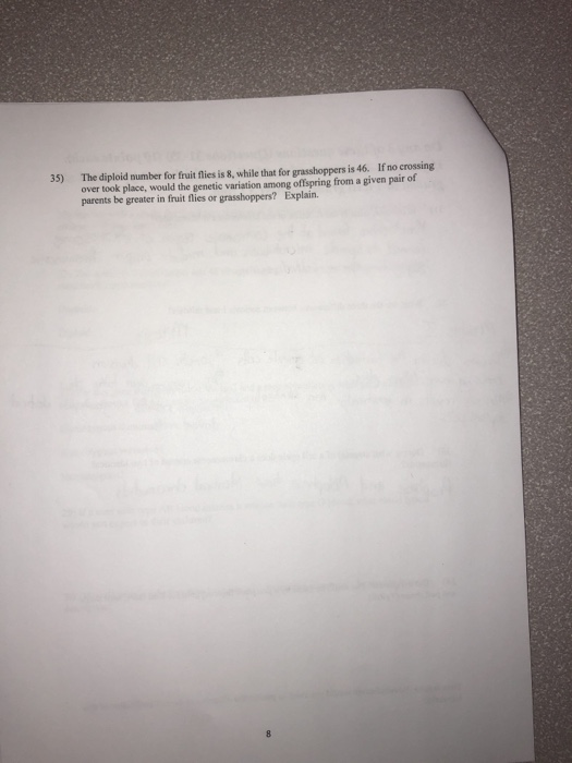 Solved If no crossing The diploid number for fruit flies is