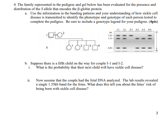 Solved 4. The family represented in the pedigree and gel | Chegg.com