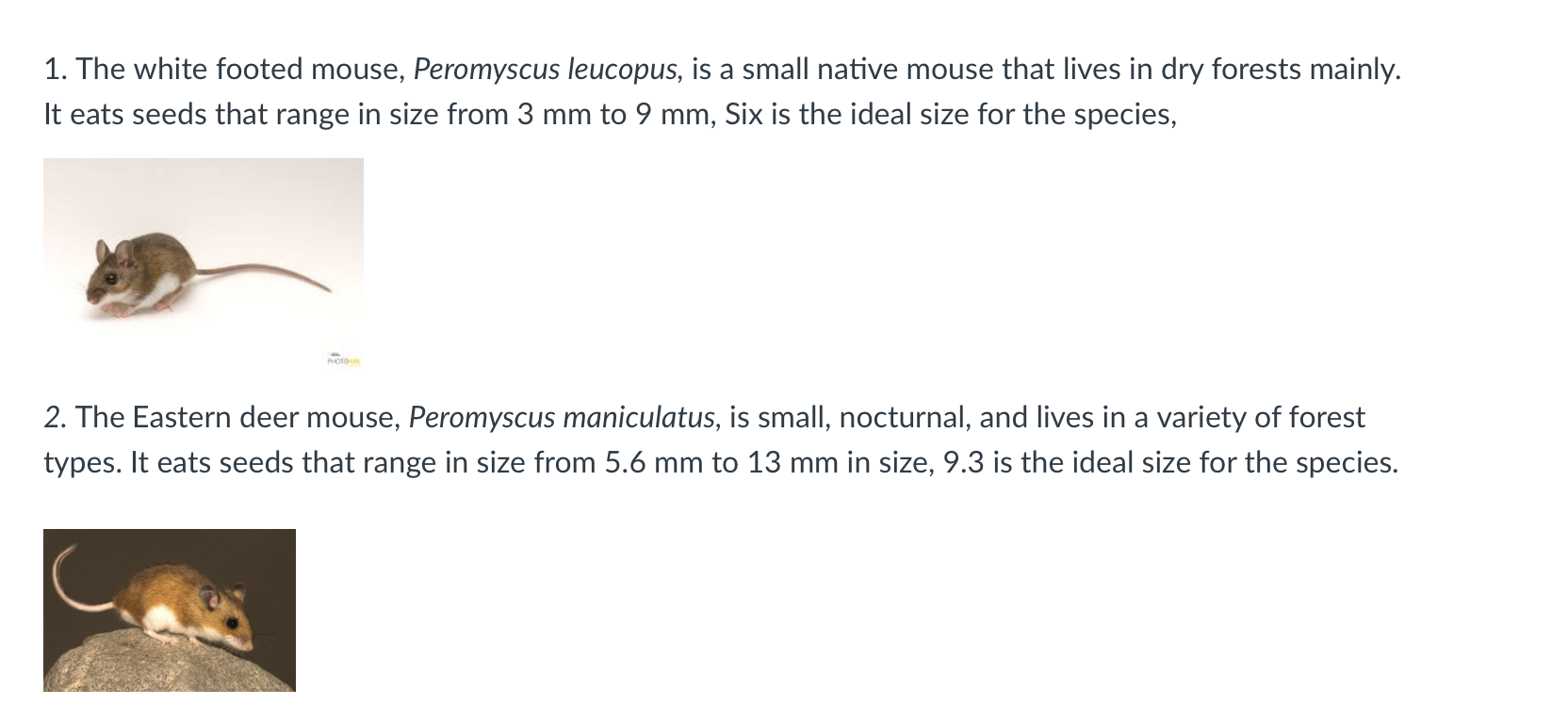 1. The white footed mouse, Peromyscus leucopus, is a small native mouse that lives in dry forests mainly. It eats seeds that