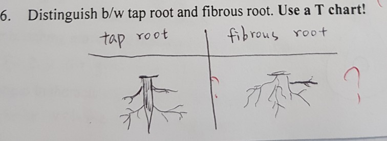 Prairie Moon Nursery - This week we have started shipping out fall bare root  orders! Did you know that several varieties of root system structures  exist? This drawing depicts several different kinds