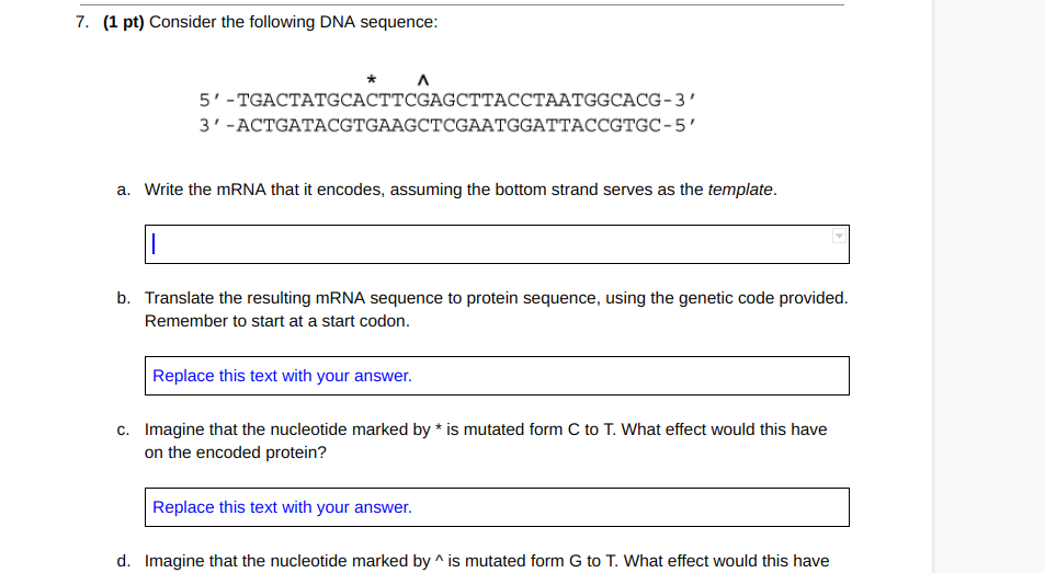 Solved 7. (1 Pt) Consider The Following DNA Sequence: A 5' - | Chegg.com