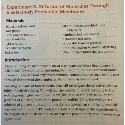 > Experiment B. Diffusion Of Molecules Through A | Chegg.com