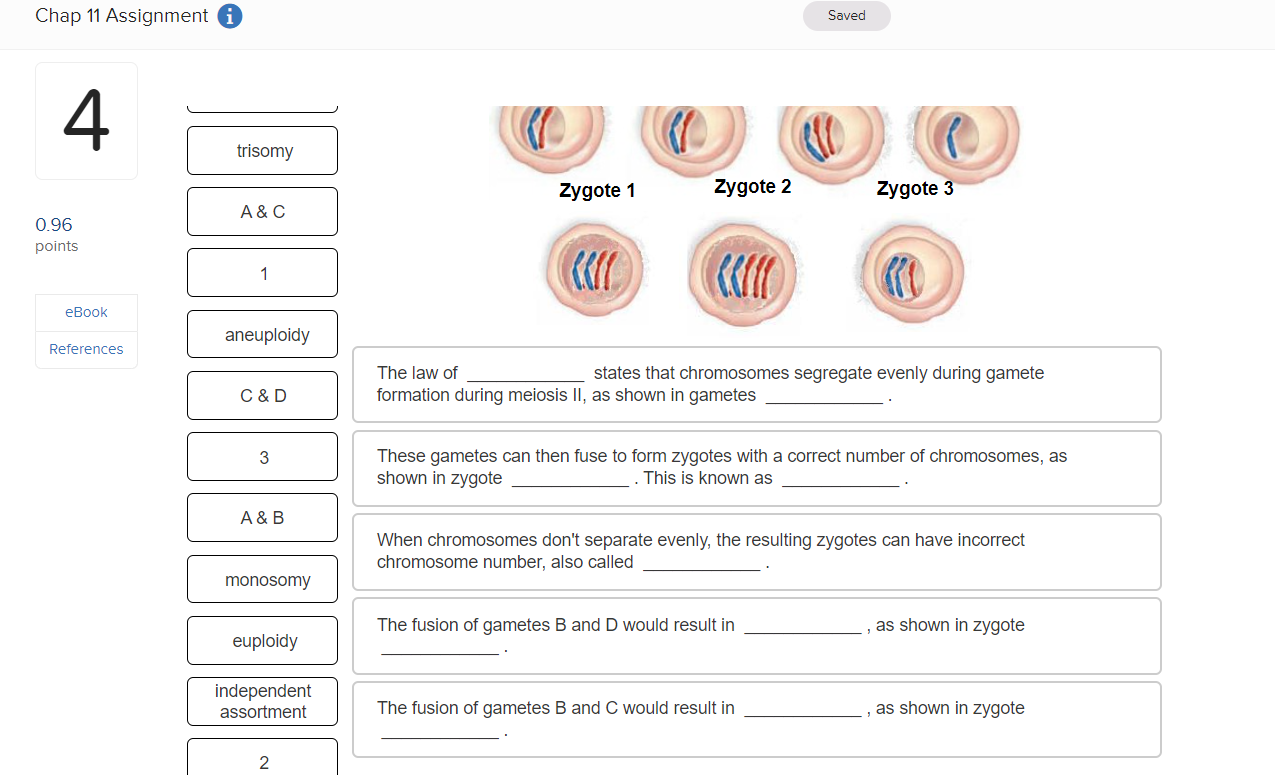 Solved Chap 11 Assignment Saved 4 trisomy Zygote 1 Zygote 2 | Chegg.com