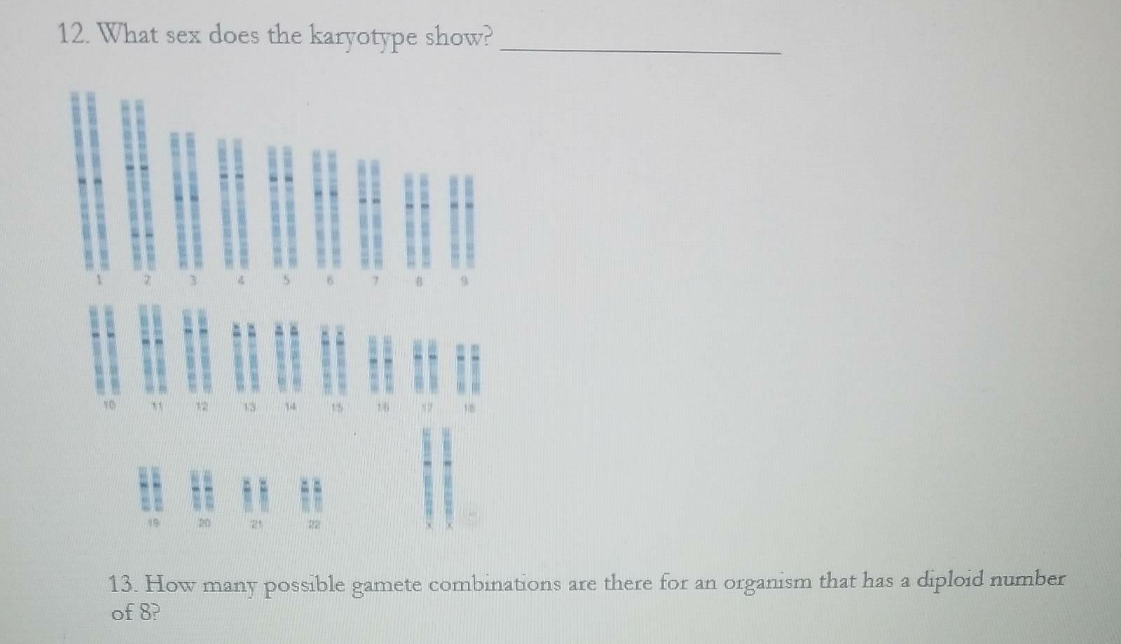 Solved 11. Complete the following diagram by labeling it | Chegg.com