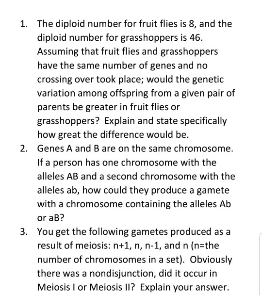 The diploid number for fruit flies is 8, and the | Chegg.com