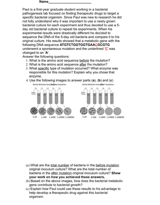 What Is A First Year Graduate Student