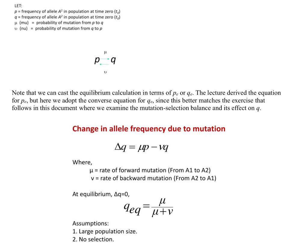 Solved Based on the information given solve the following | Chegg.com