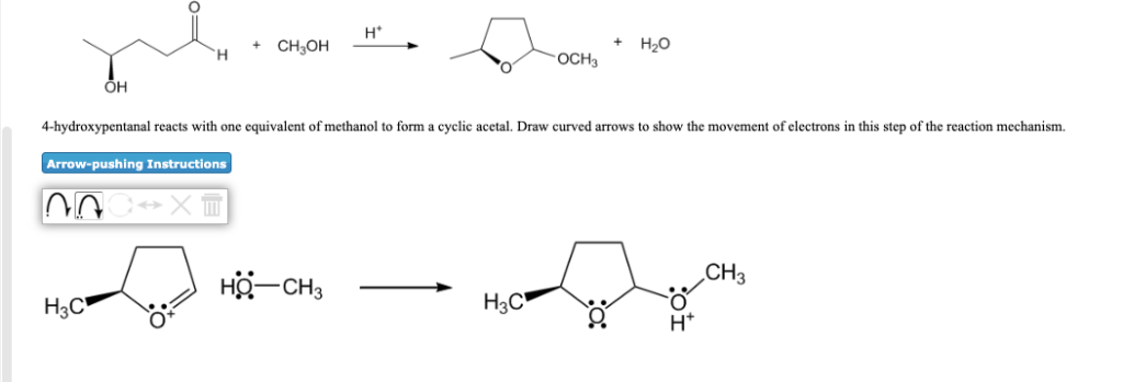 Solved H* Но Ch-он H Och3 Öh 4-hydroxypentanal Reacts With 