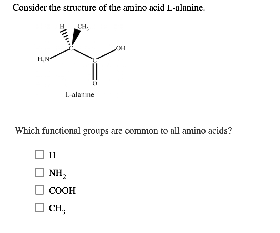 Solved Consider The Structure Of The Amino Acid L Alanine Chegg Com