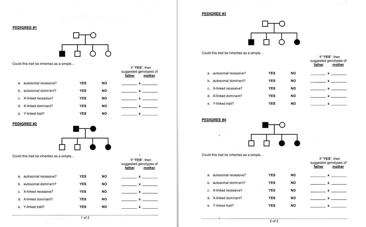 Solved PEDIGREE #3 PEDIGREE #1 Co Could this trait be | Chegg.com