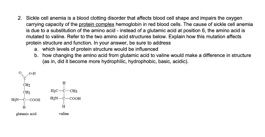 Solved 2. Sickle cell anemia is a blood clotting disorder | Chegg.com