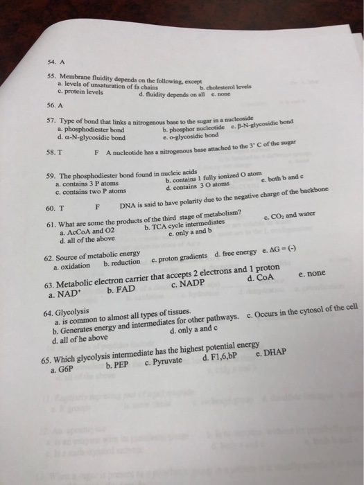 Solved 54. A 55. Membrane fluidity depends on the following, | Chegg.com