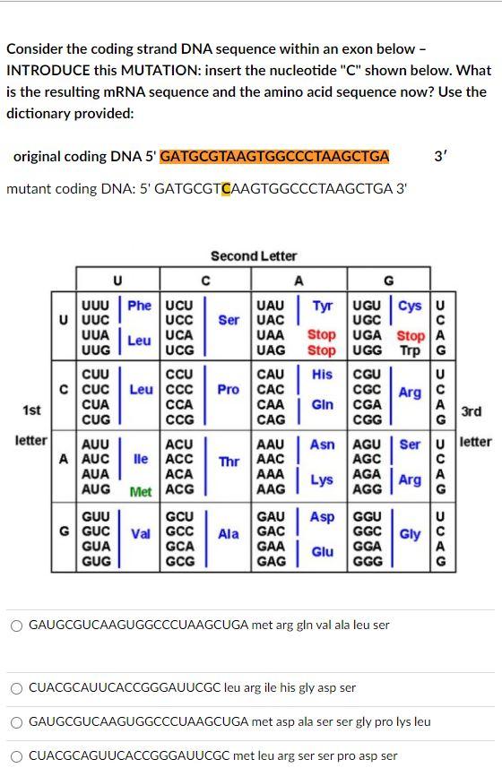 Solved Consider the coding strand DNA sequence within an | Chegg.com