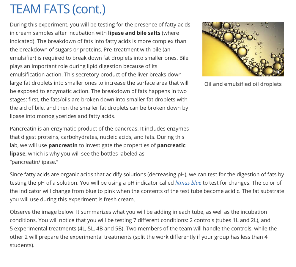 Digestion Of Fats Lipase Experimental Setup 4b Chegg 