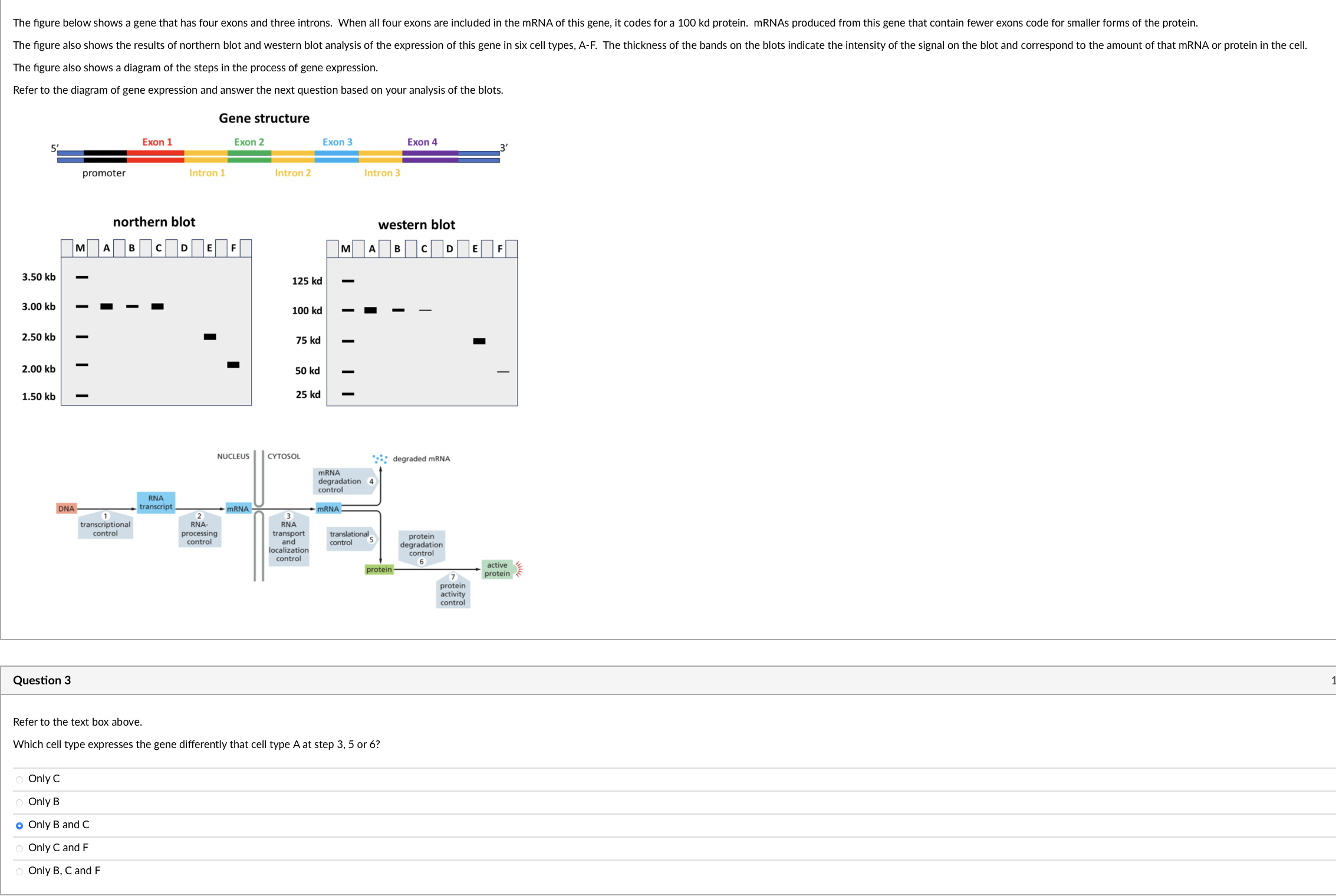 Solved The figure also shows a diagram of the steps in the | Chegg.com