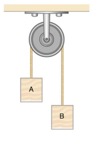 Solved Draw Free Body Diagrams (FBD) for the following | Chegg.com