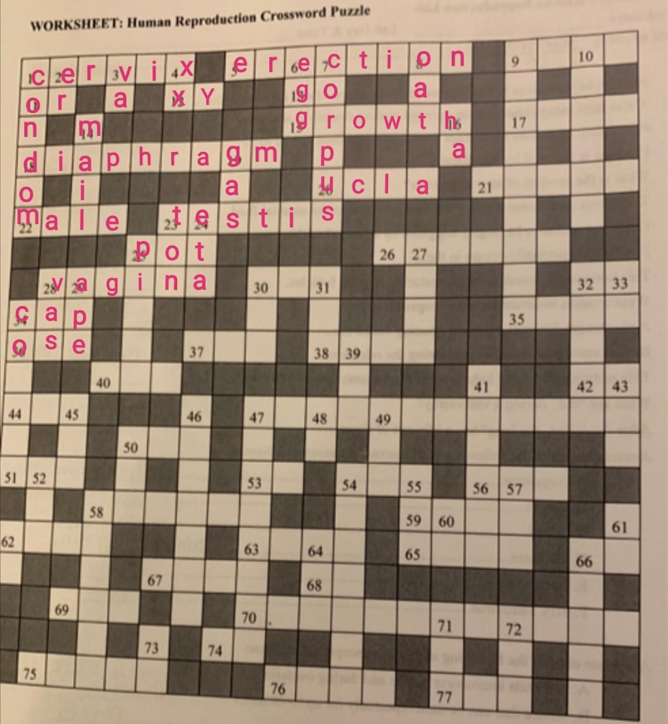 WORKSHEET Human Reproduction Crossword Puzzle 10 Igo Chegg