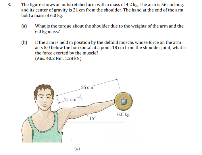 Solved 3. The figure shows an outstretched arm with a mass