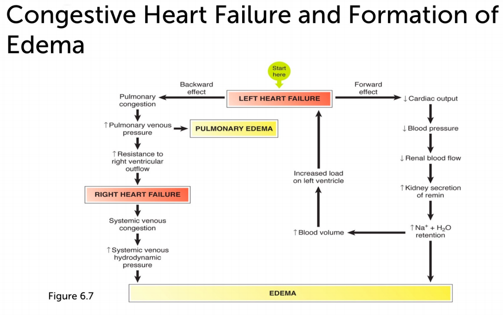 solved-consider-left-heart-failure-a-form-of-congestive-chegg