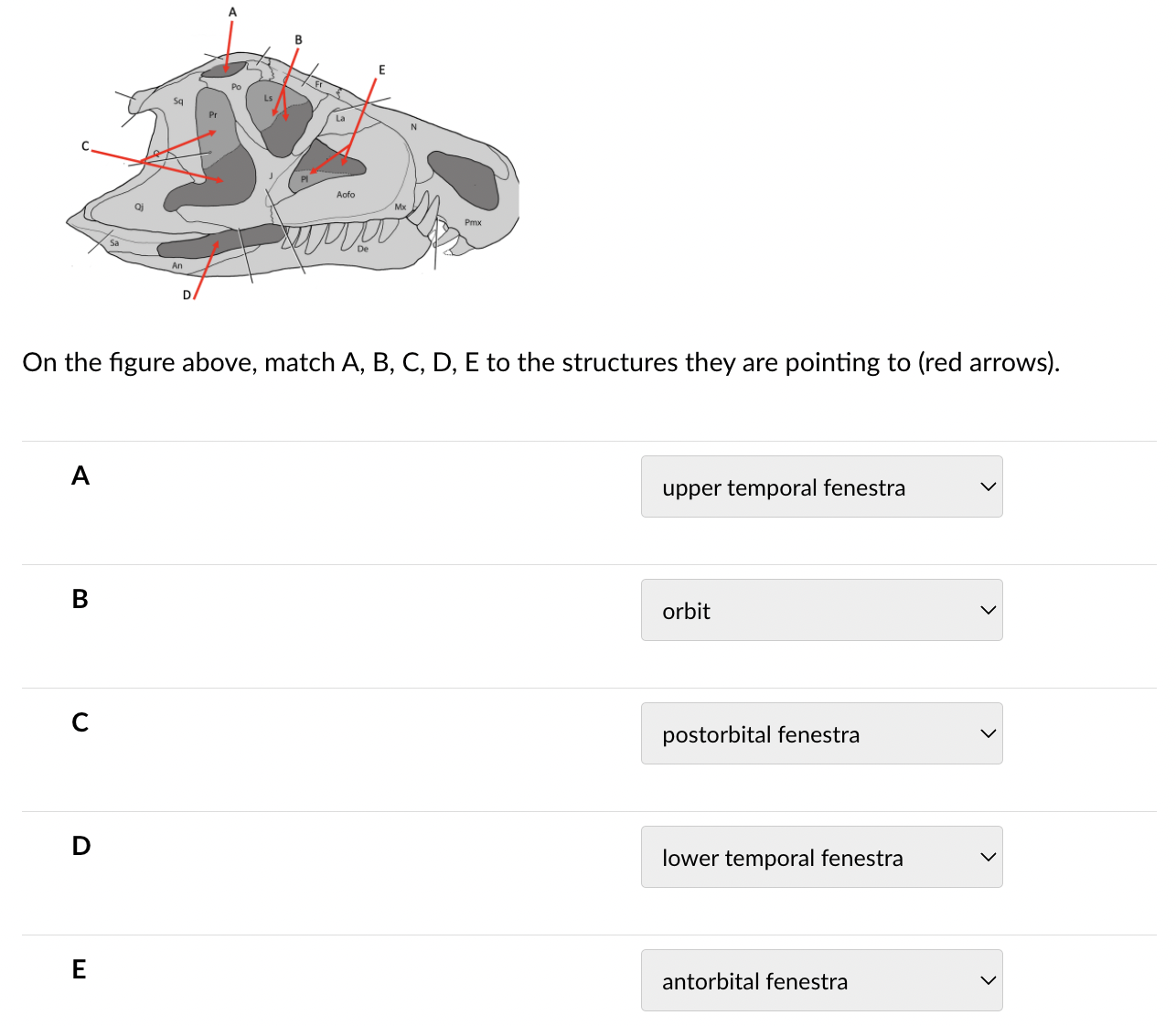 Solved Please help me figure out this question with brief | Chegg.com