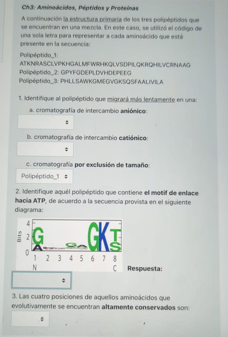 Ch3: Aminoácidos, Péptidos y Proteínas A continuación la estructura primaria de los tres polipéptidos que se encuentran en un