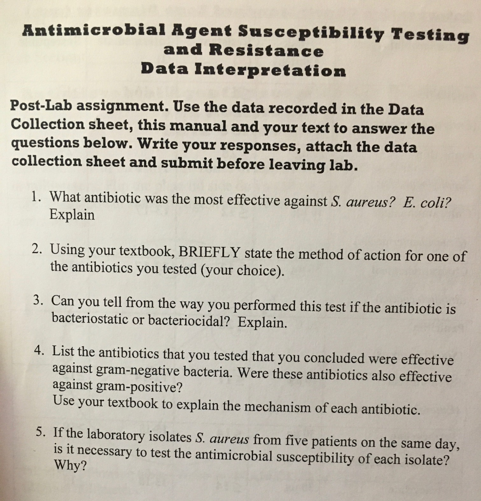 Solved Antimicrobial Agent Susceptibility Testing And | Chegg.com