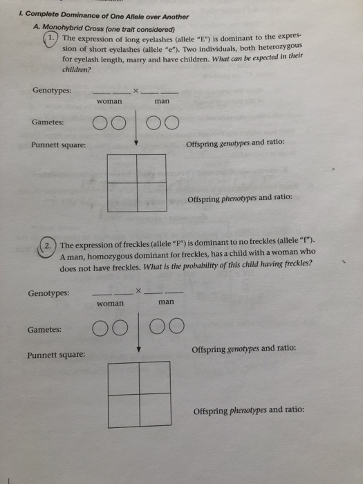 Solved I. Complete Dominance of One Allele over Another A. | Chegg.com