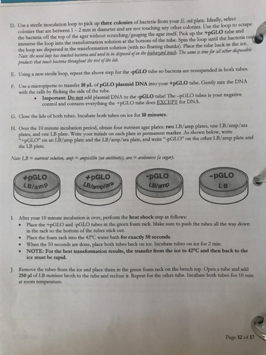 Solved Read the lab procedure instructions then answer the | Chegg.com