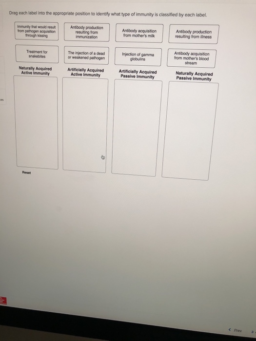 solved-drag-each-label-into-the-appropriate-position-to-chegg