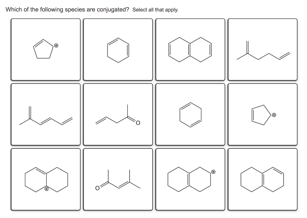 Solved Which Of The Following Species Are Conjugated Select 1950