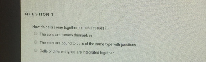 do cells group together to form tissues