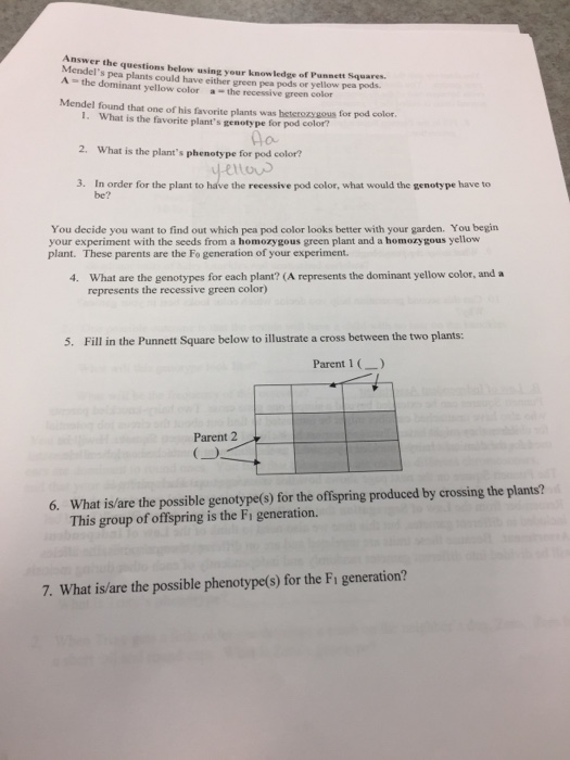Solved Answer the r the questions below using your know | Chegg.com