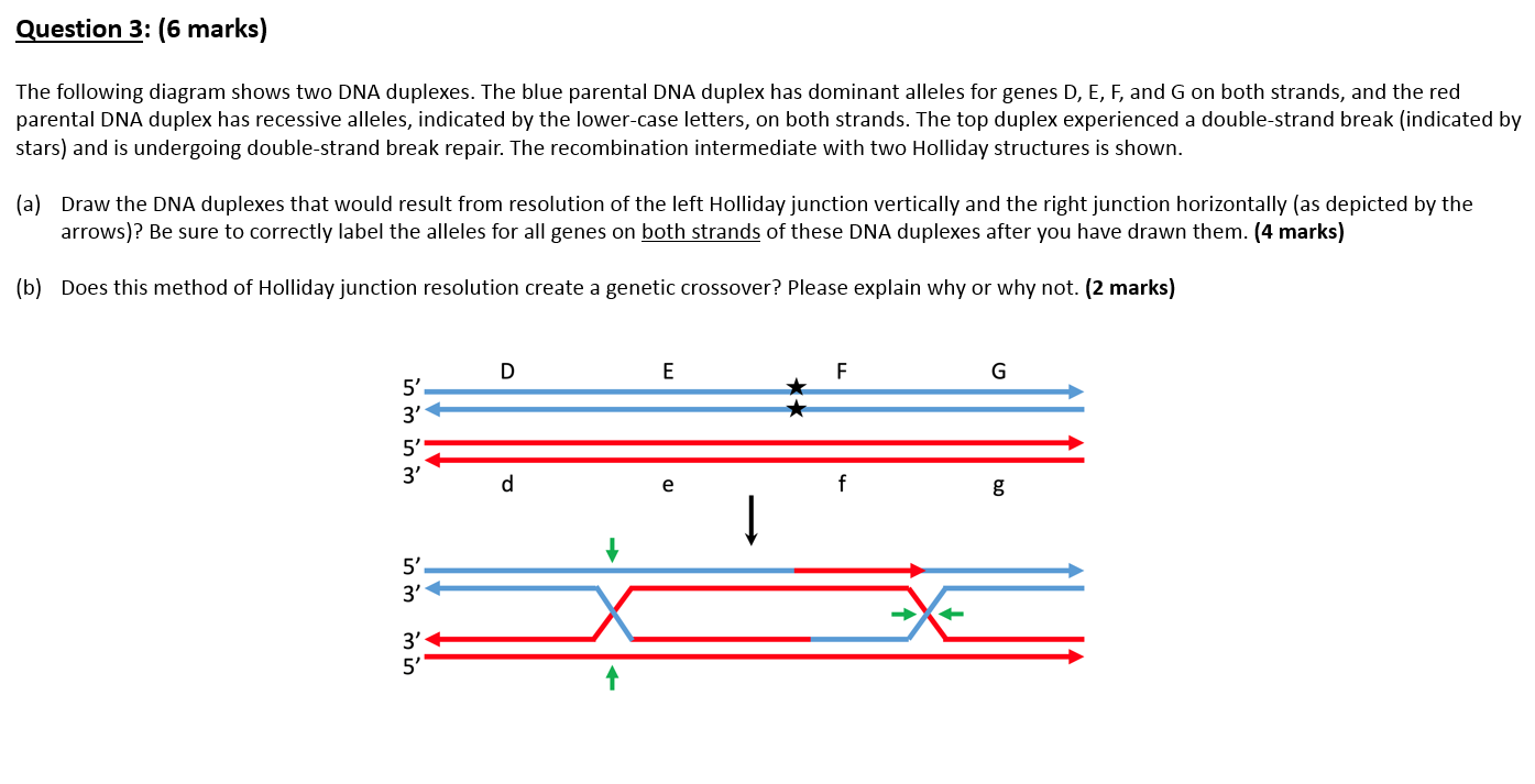 Solved Question 3 6 Marks The Following Diagram Shows Two Chegg Com