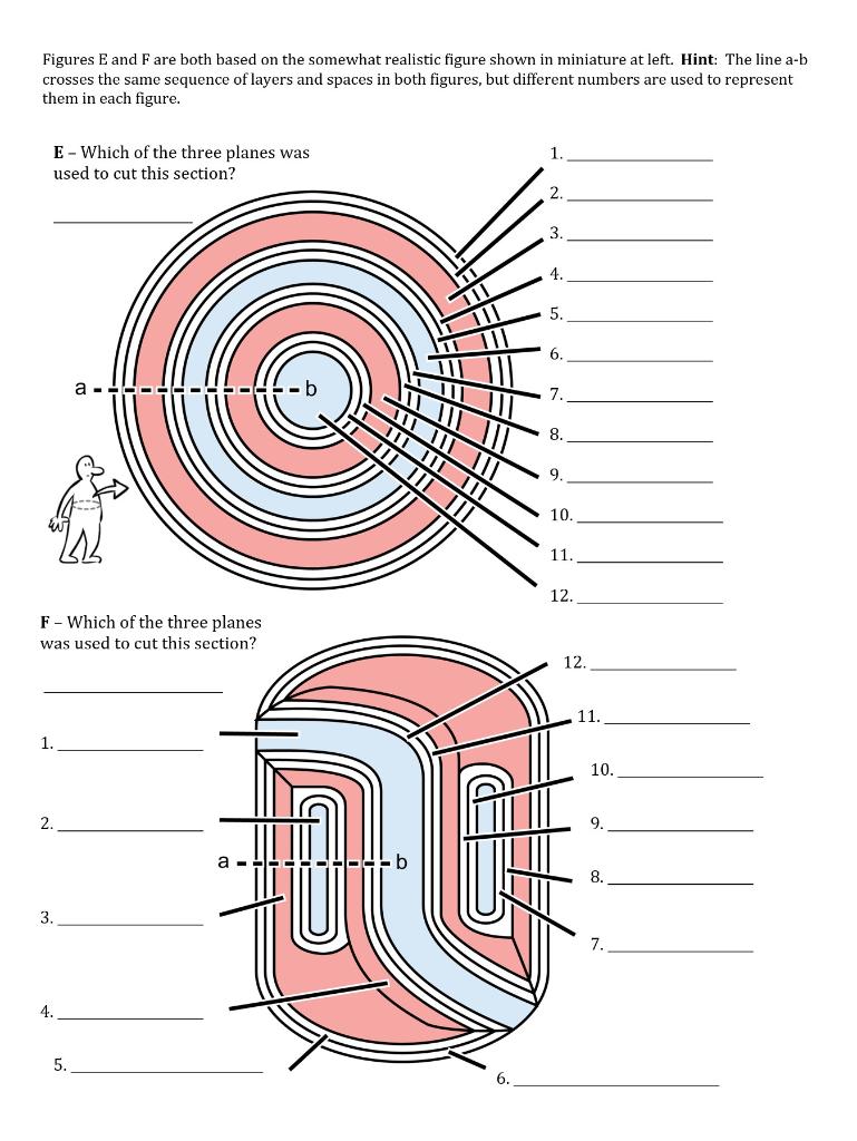 Solved Figures E and F are both based on the somewhat | Chegg.com