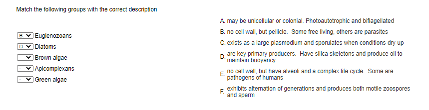 Solved Match the following groups with the correct | Chegg.com