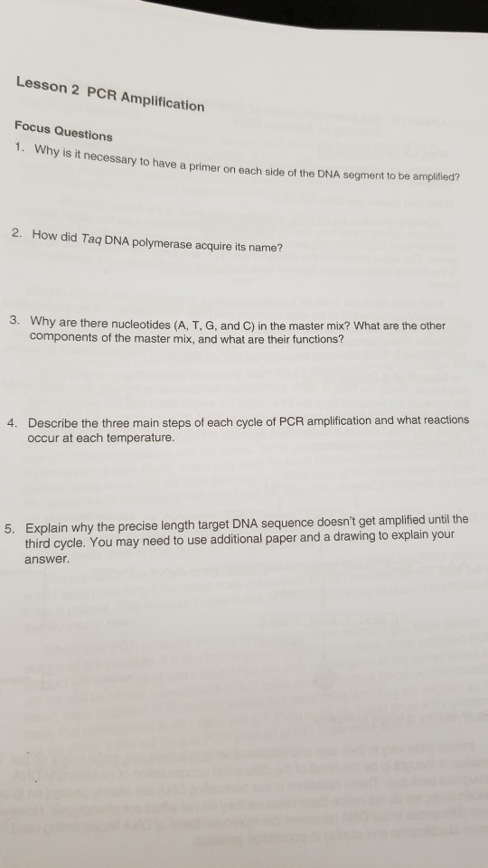 D-PCR-DY-23難易度受験料