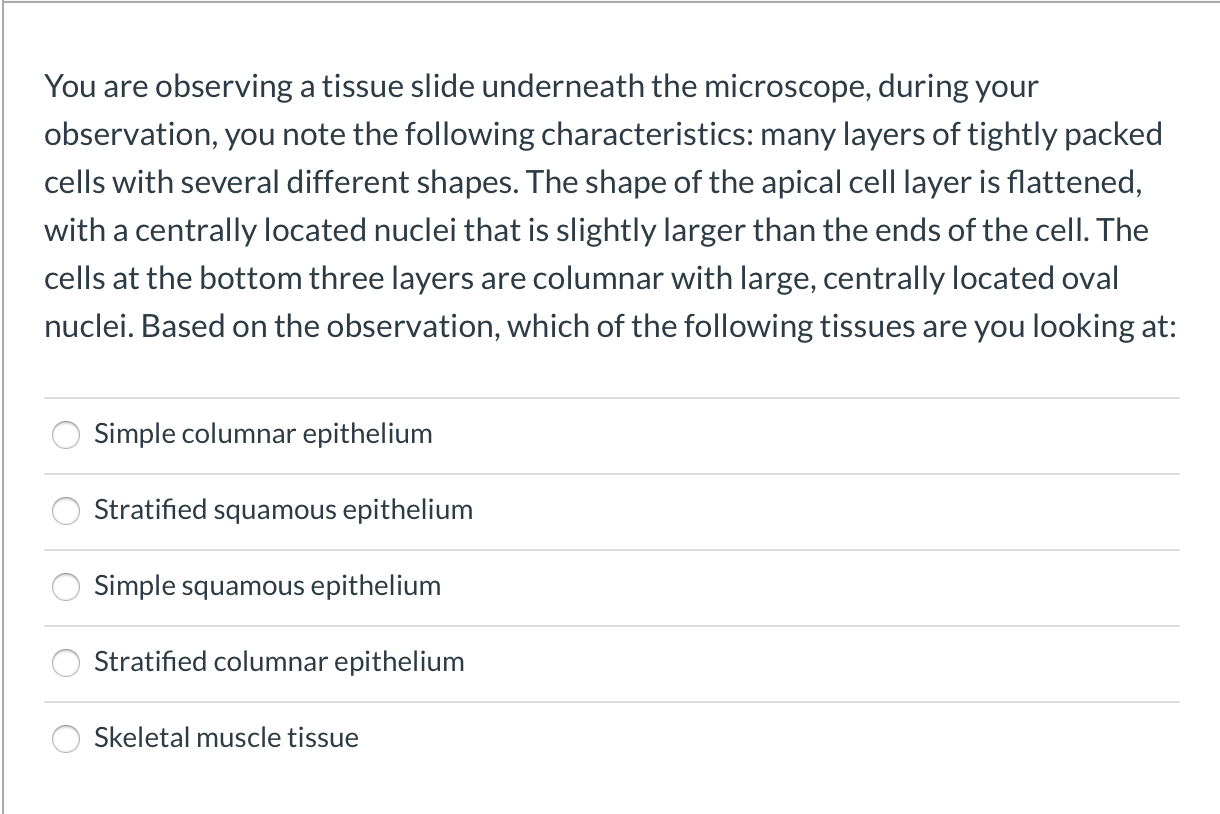 Solved You are observing a tissue slide underneath the | Chegg.com