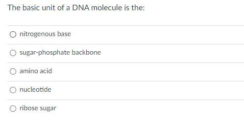 Solved The basic unit of a DNA molecule is the: nitrogenous | Chegg.com