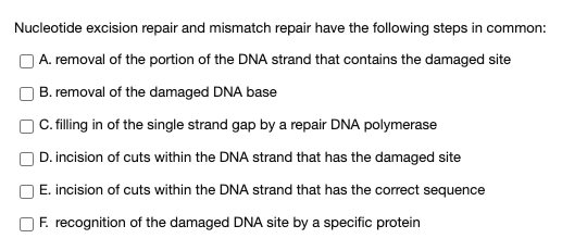 Solved Nucleotide excision repair and mismatch repair have | Chegg.com