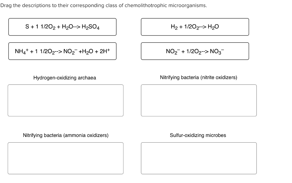 Solved Drag the descriptions to their corresponding class of