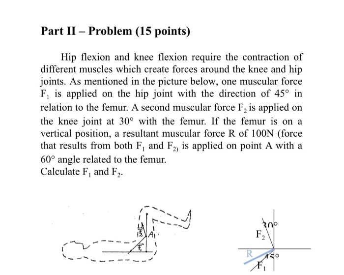 Solved Part II - Problem (15 points) Hip flexion and knee | Chegg.com